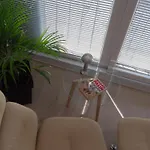 The View * 斯科普里